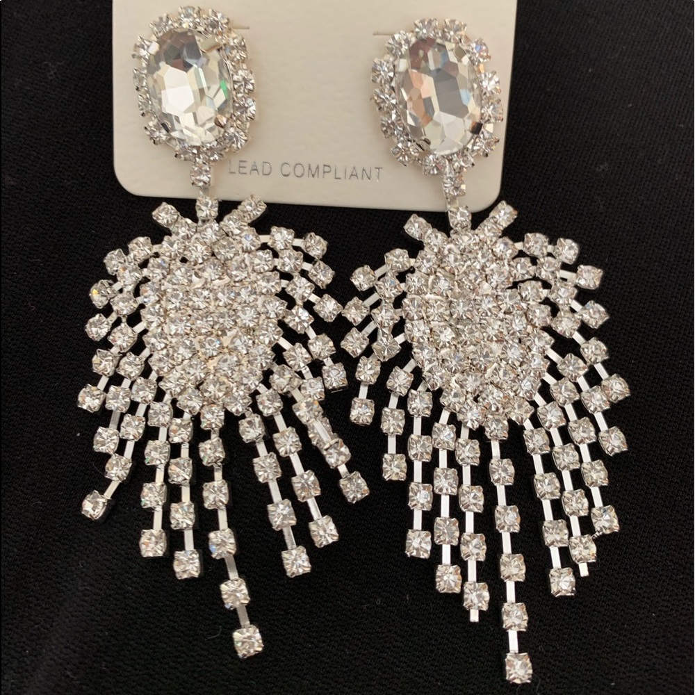 Stunning Crystal Earrings